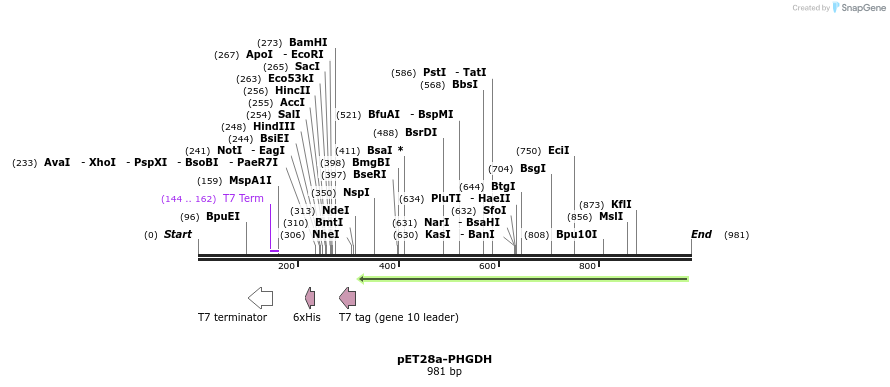 141316_map