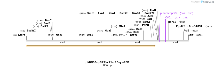 141317_map