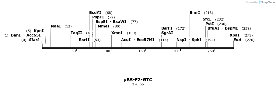 14132_map