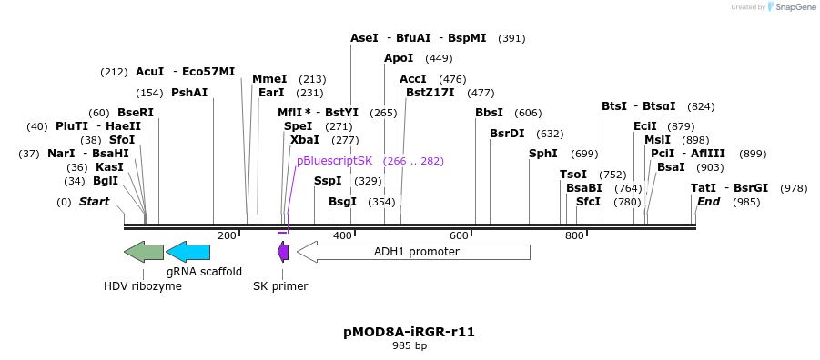 141321_map