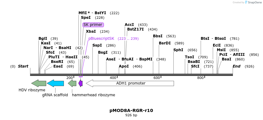 141325_map