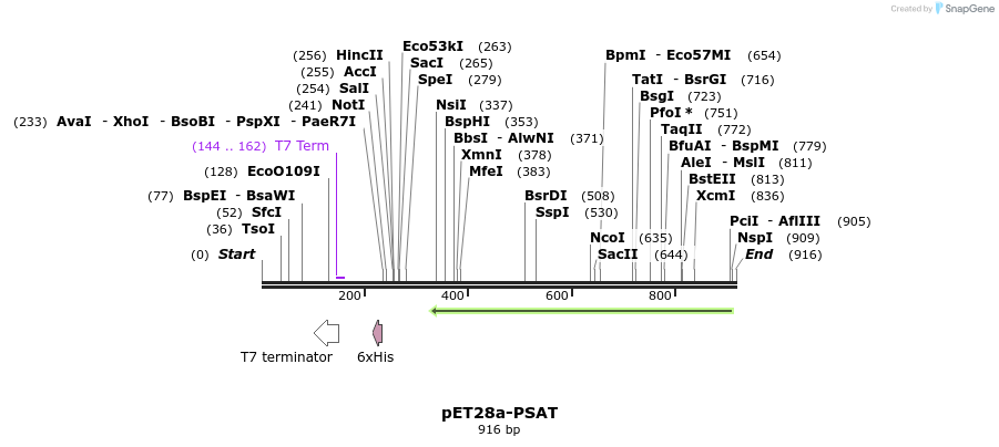 141326_map