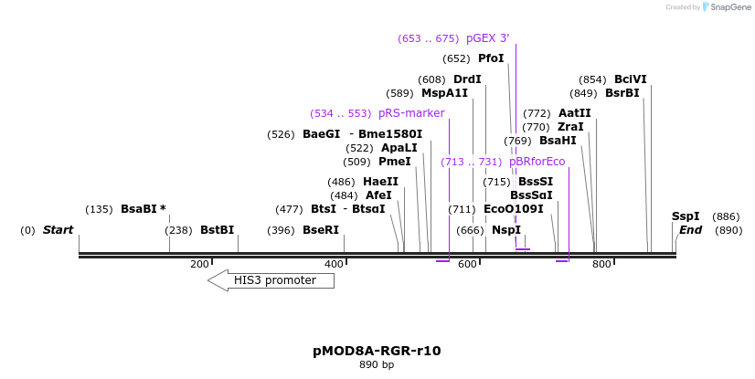 141327_map