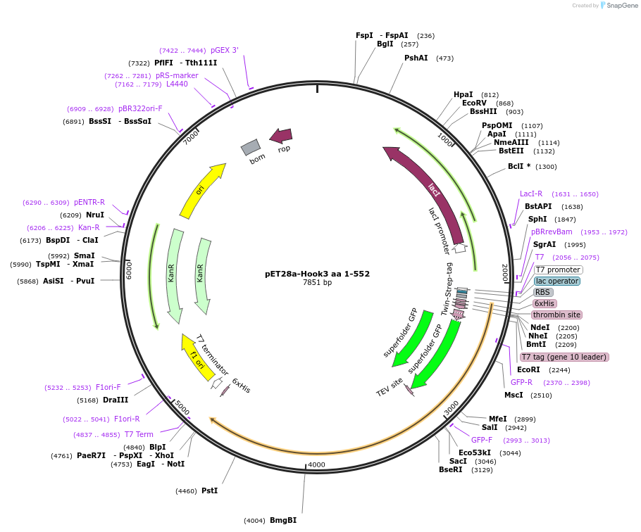 141330_map