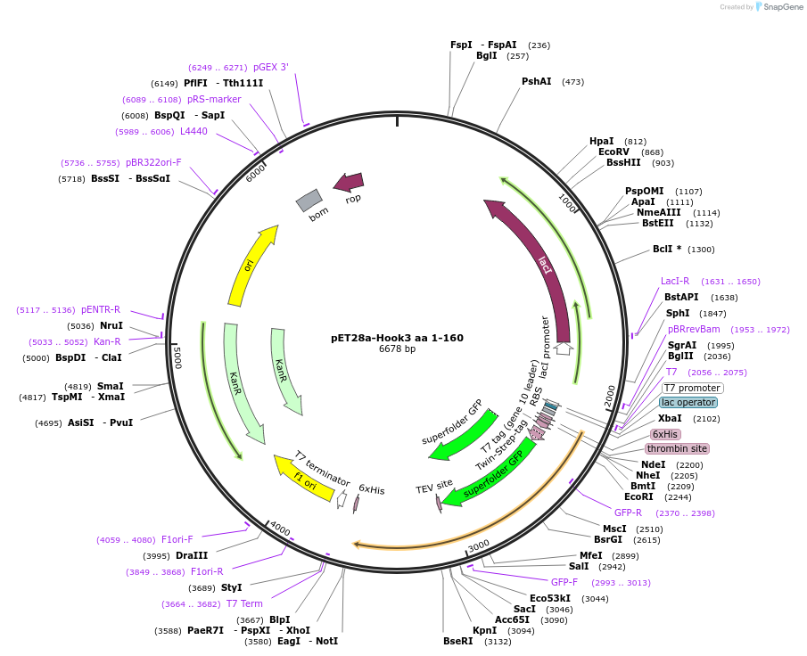 141332_map
