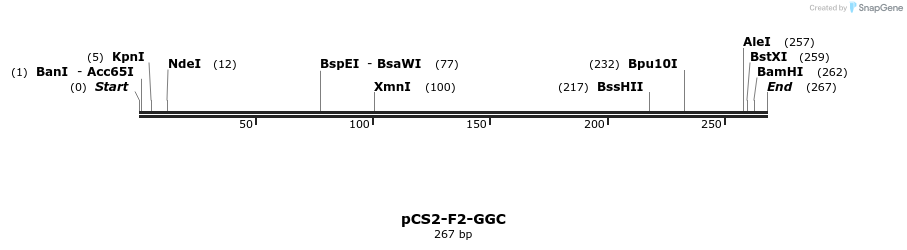 14135_map