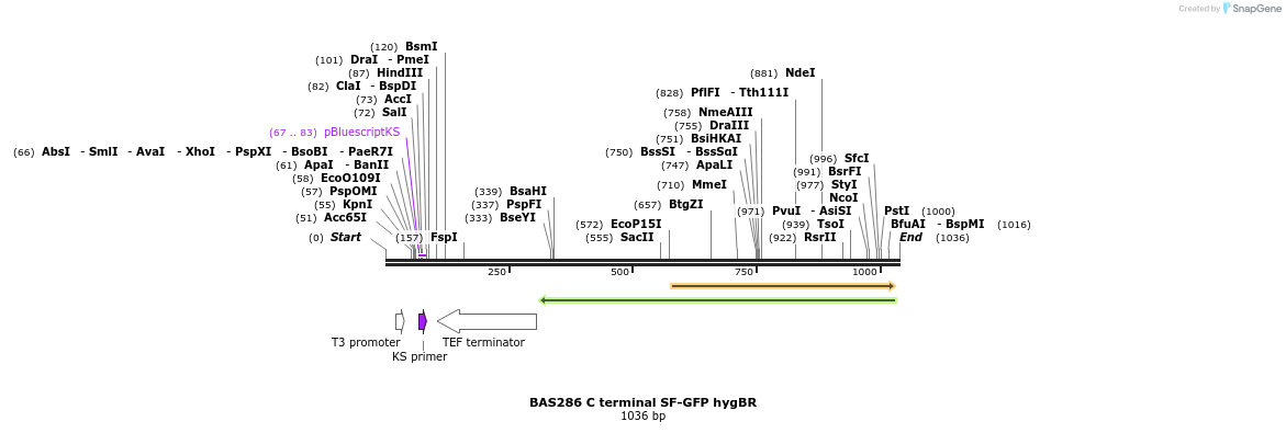 141355_map