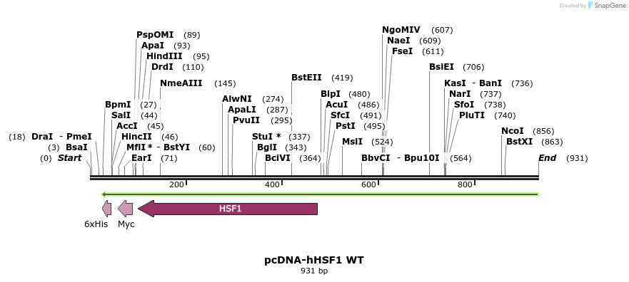 141357_map