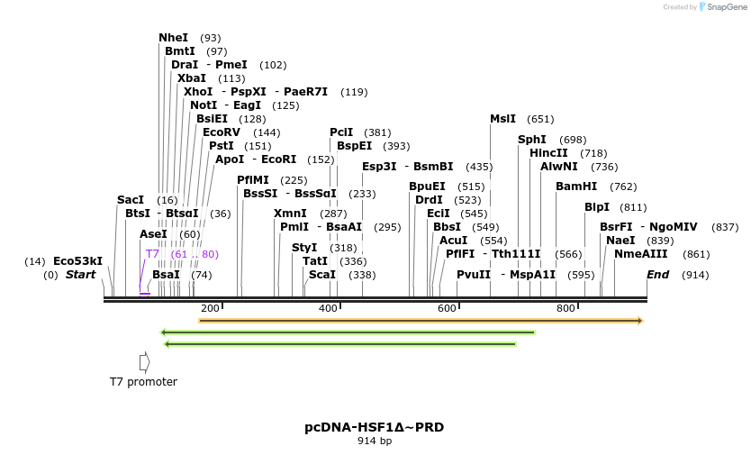 141360_map