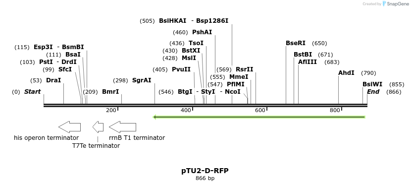 141370_map