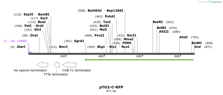 141371_map
