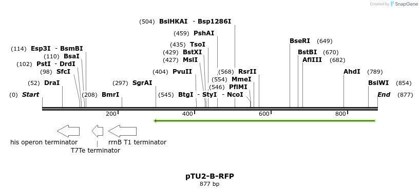 141372_map