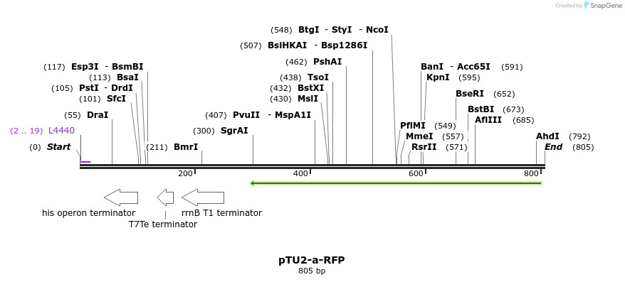 141373_map