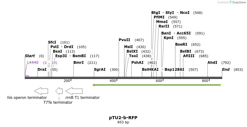 141374_map
