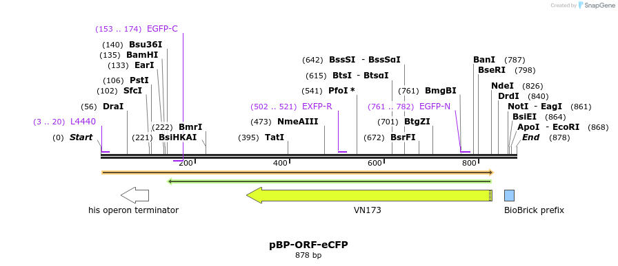 141377_map