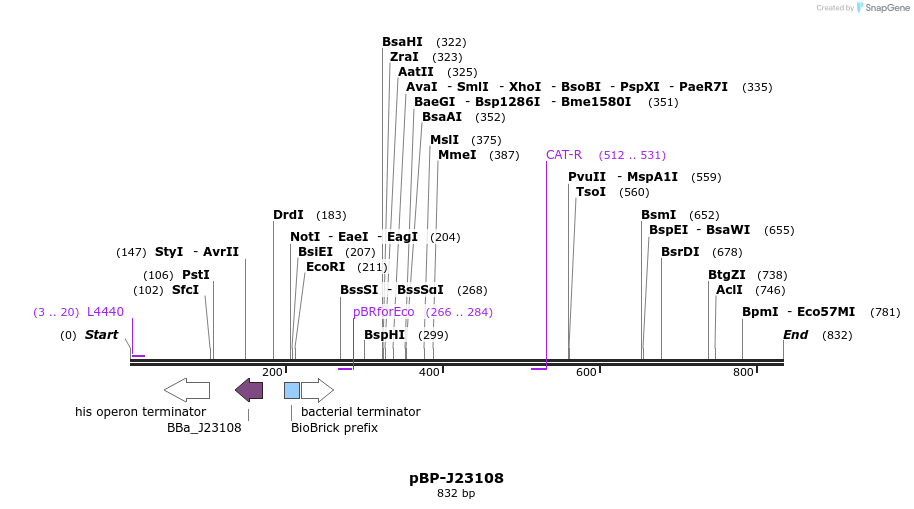 141378_map
