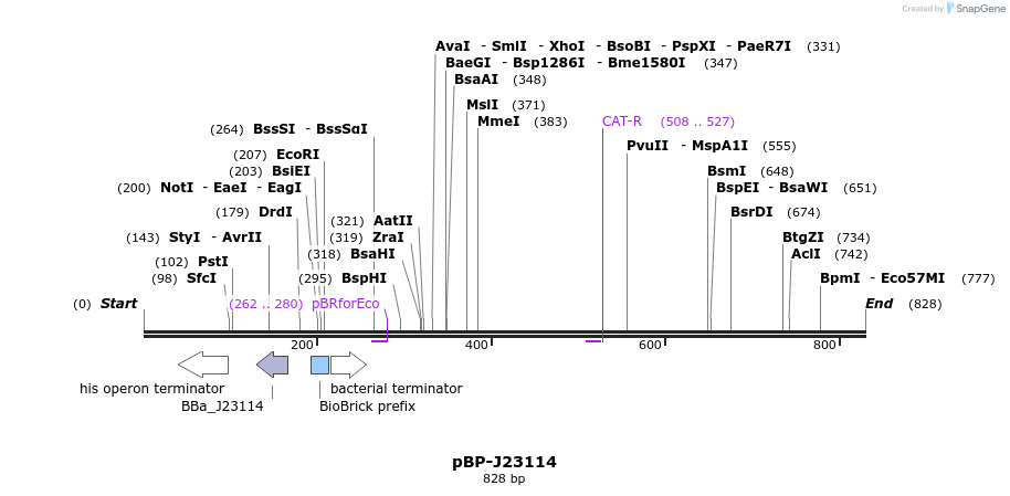 141379_map