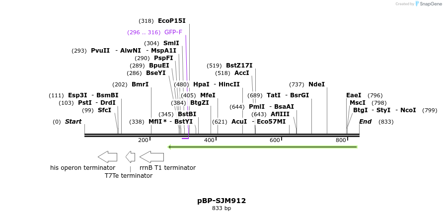 141381_map