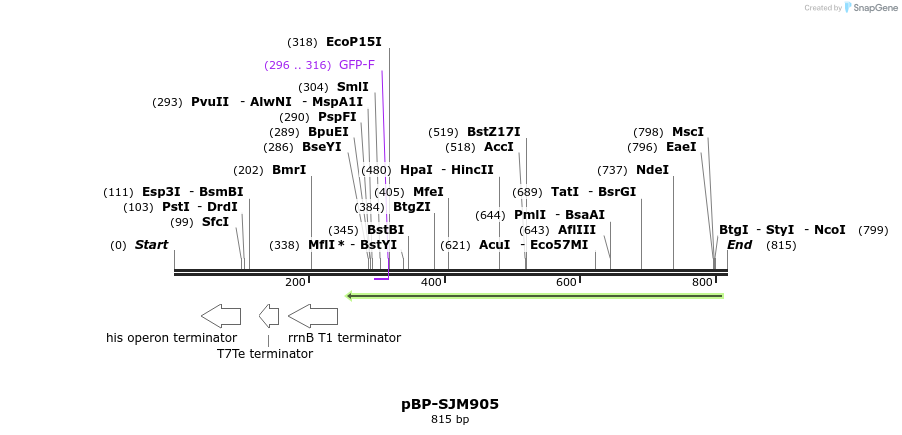 141390_map