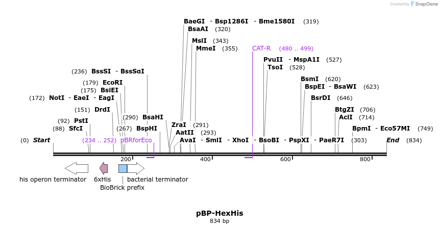 141392_map