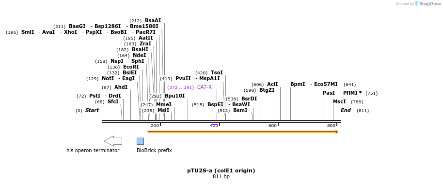 141397_map