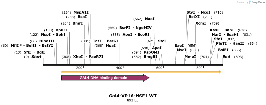 141405_map