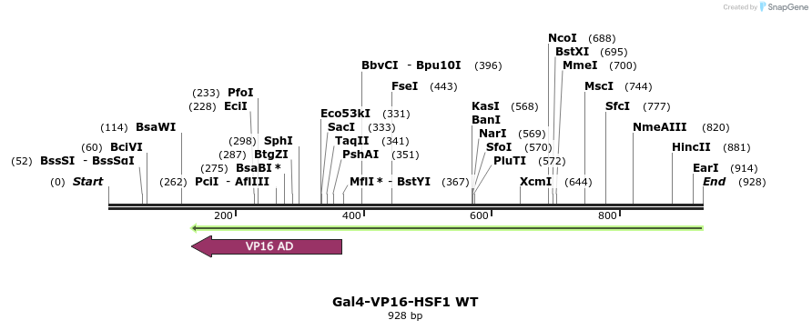 141406_map
