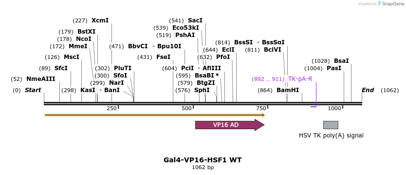 141411_map