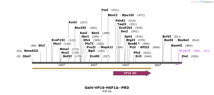 141416_map