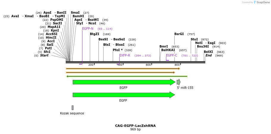 141417_map