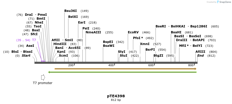 141424_map