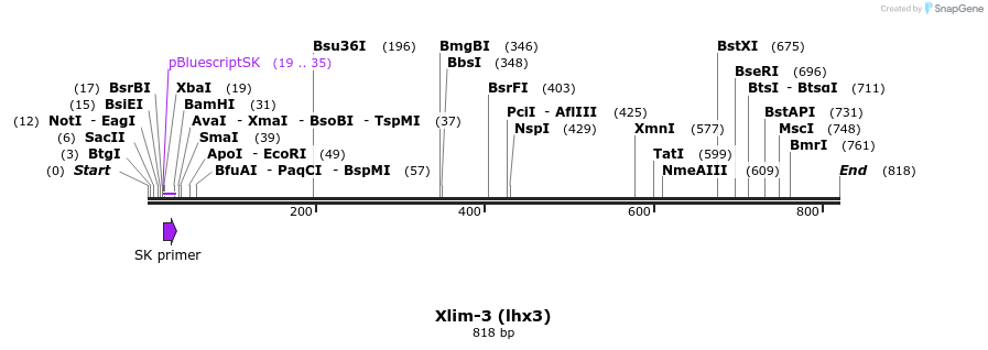 141428_map
