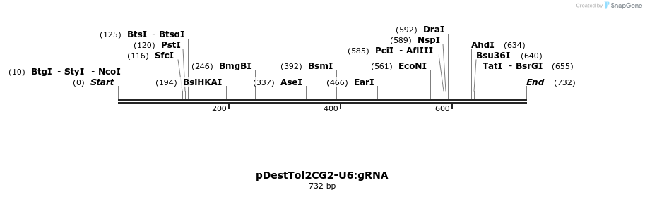 141433_map