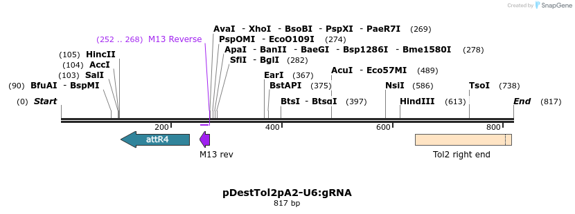 141440_map