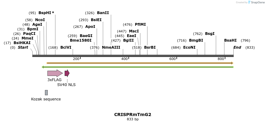 141445_map