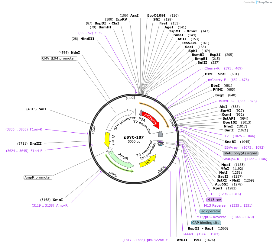 141474_map
