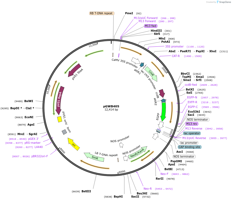 141479_map