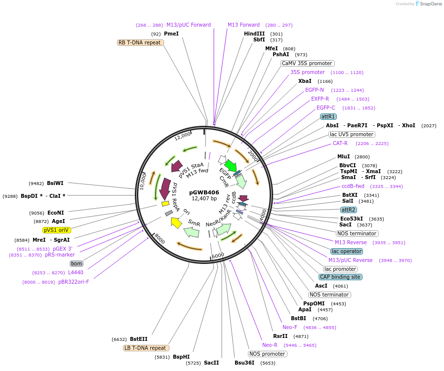 141480_map