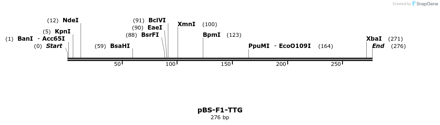 14149_map