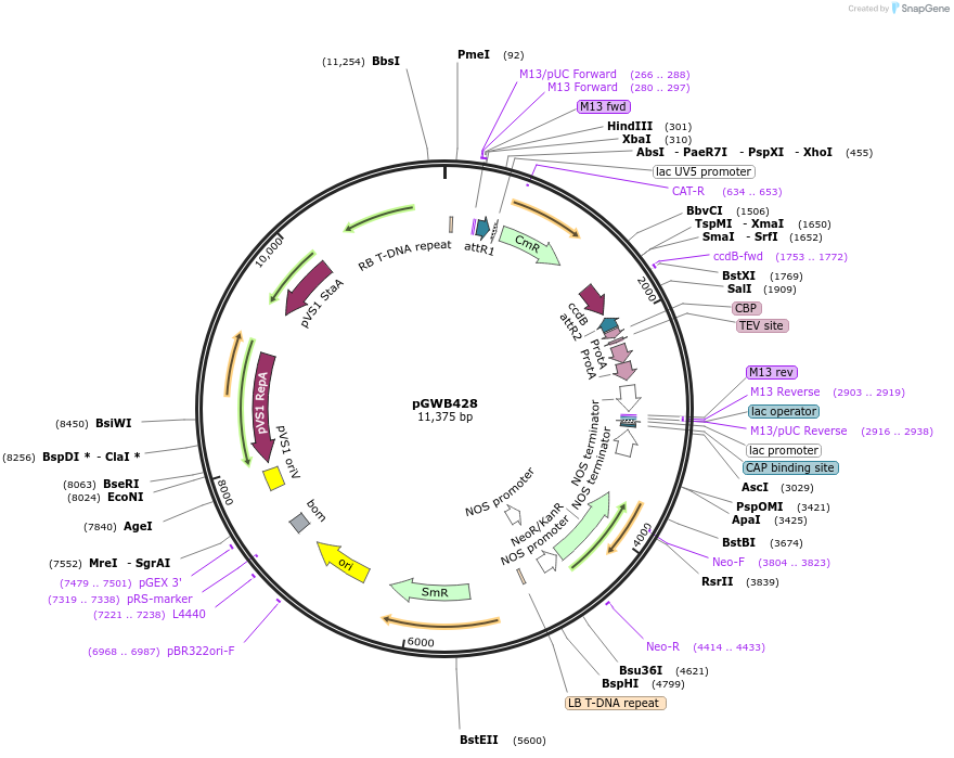 141502_map