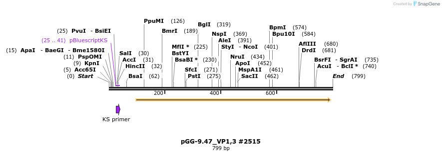 141562_map