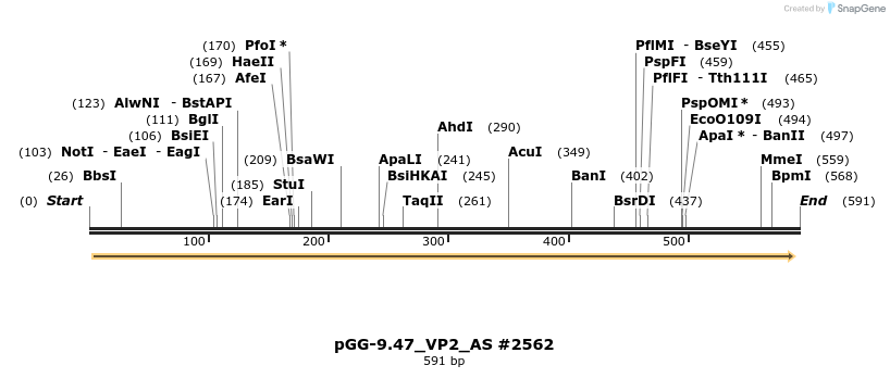 141565_map