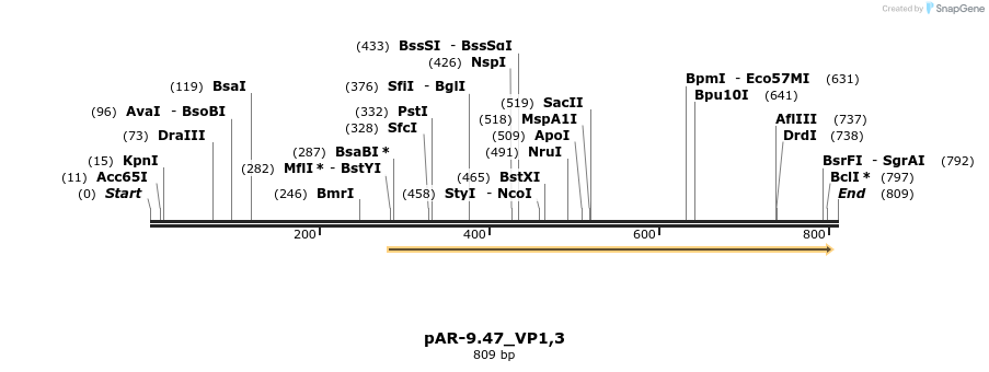 141566_map