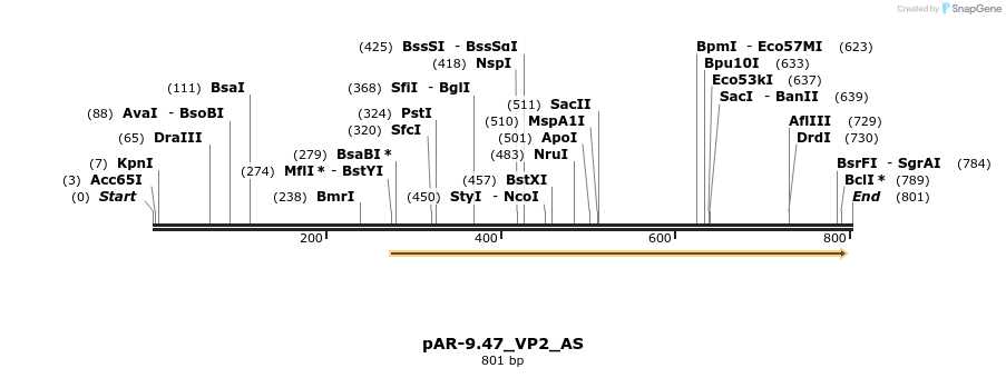 141570_map