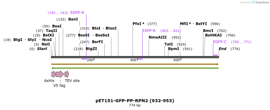 141586_map