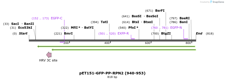 141589_map