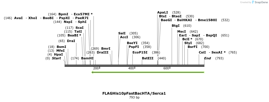 141590_map