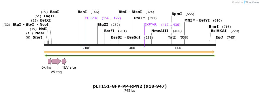 141591_map