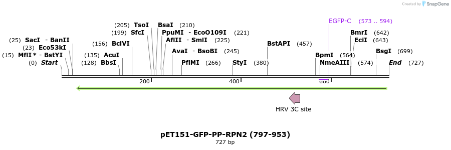 141597_map