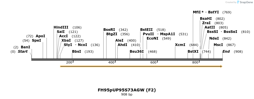 141599_map